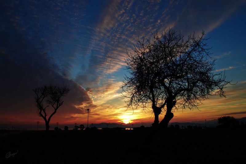 allora  proprio vero che il mattino ha loro in bocca.jpg